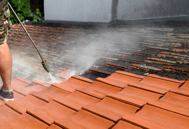 Best Deck Cleaning Services  in Fairfax Station, VA